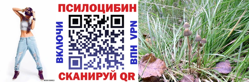 Псилоцибиновые грибы мухоморы  Горнозаводск 